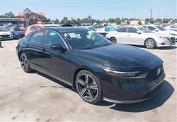 هوندا أكورد